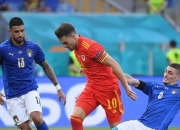 开云APP-欧洲杯预选赛胜者晋级：名将风采惊艳球场的简单介绍