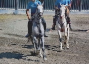 开云体育入口-关于梅州骁勇：韶凯骁勇队表现抢眼，战力备战的信息