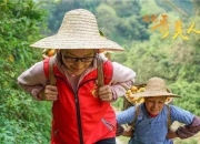 开云官网-表现突出，队员能力备受肯定