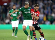 开云官网-南安普顿告负狼队，遭遇主场两连败的简单介绍