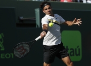 开云体育入口-美国网球队横扫德国网球队，费德勒惊艳世界的简单介绍