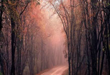 开云平台-TES绝杀JDG，Tian送出助攻——电竞巅峰对决的完美瞬间