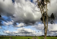 开云APP-中国羽毛球队碾压印度羽毛球队，陶菲克爆发神勇