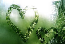 开云体育中国-加拿大男篮强势鹈鹕，卡鲁索关键制胜，精彩瞬间点燃篮球热情