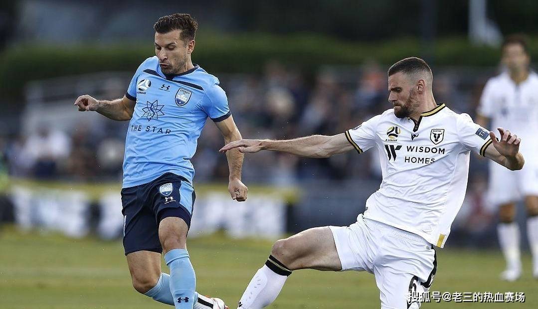 深圳新军：南粤绿城斩获连胜，表现可圈可点的简单介绍