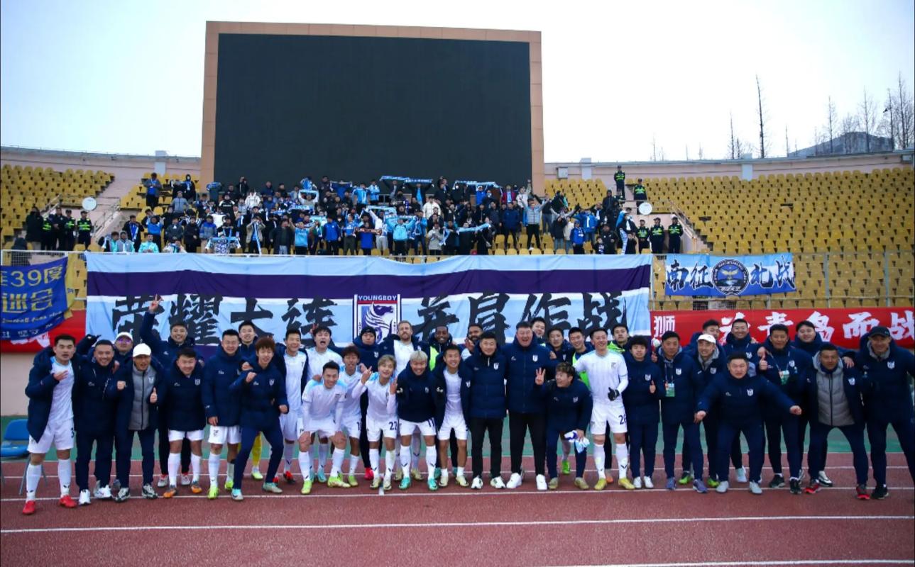 新引援带来新气象，球队实力得到提升的简单介绍