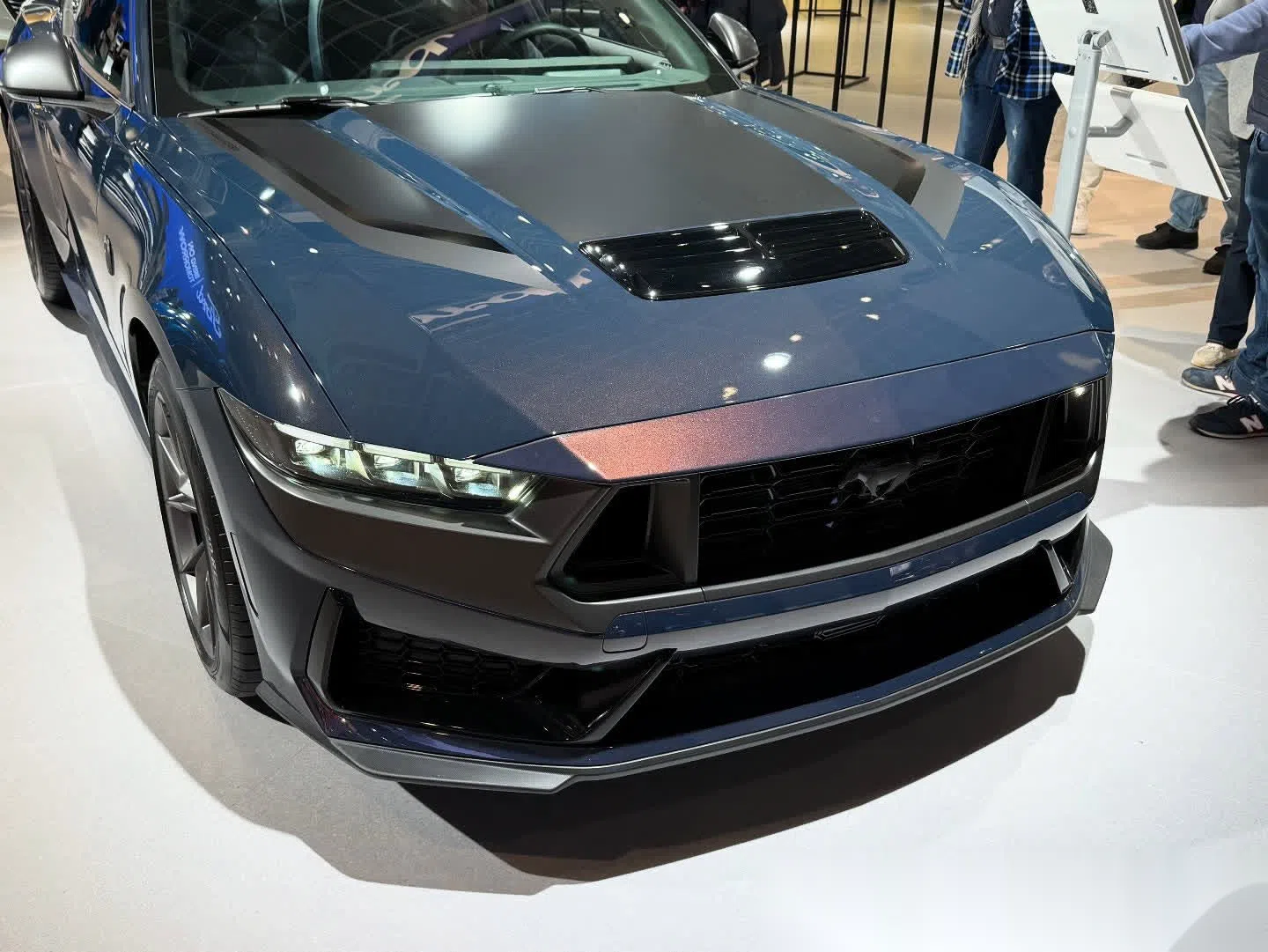 包含黑马崭露头角,实力堪比传统豪门的词条 包含黑马崭露头角,实力堪比传统豪门的词条