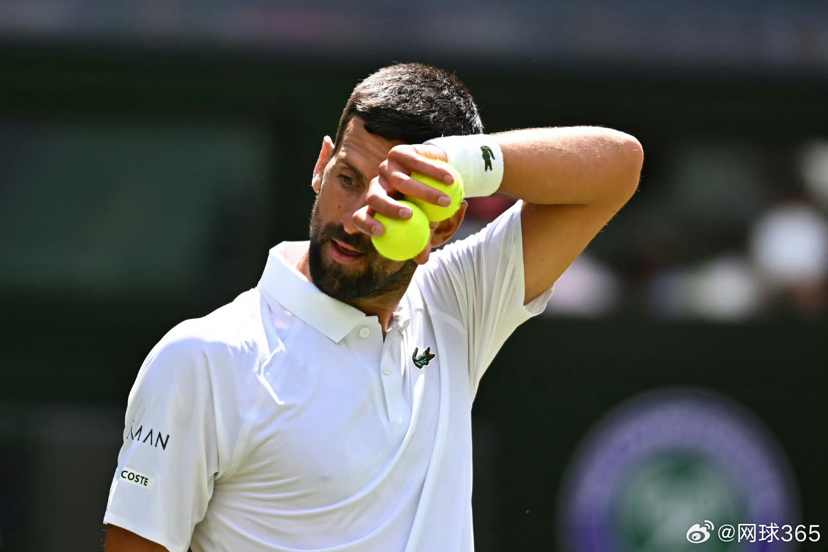 关于戴维斯杯完胜温网,辛纳高光表现的信息 关于戴维斯杯完胜温网,辛纳高光表现的信息